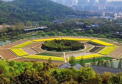 上城天气预报10天查询