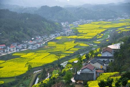 澧县天气预报10天查询