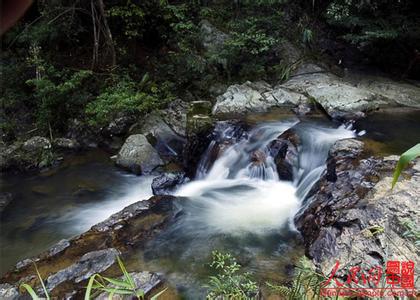 苍梧天气预报10天查询