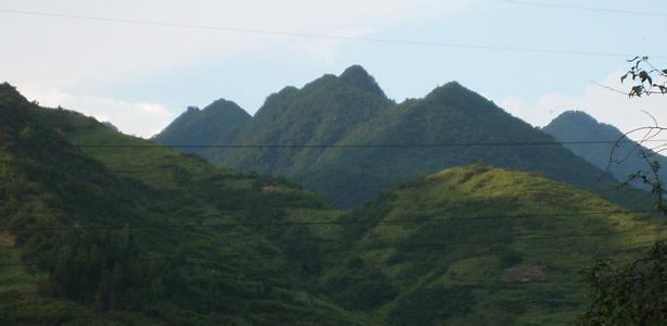 青川天气预报10天查询