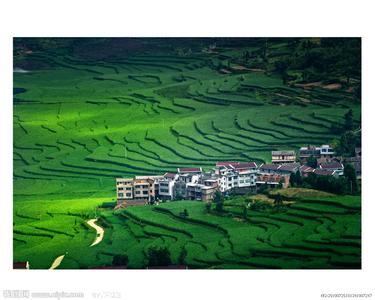 丽水天气预报30天查询,丽水市一个月天气