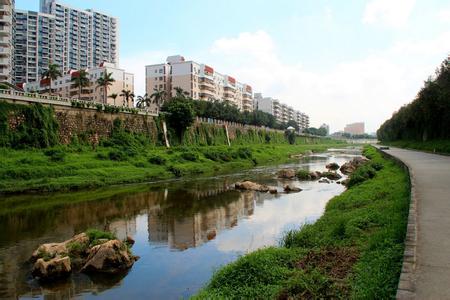 龙岗天气预报30天查询,龙岗区一个月天气