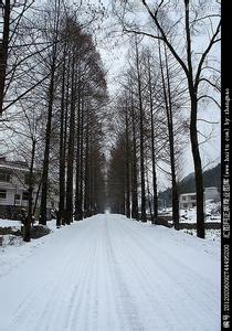 西山天气预报30天查询,西山区一个月天气