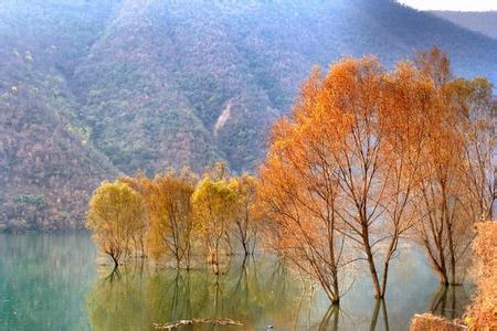 西乡天气预报30天查询,西乡县一个月天气