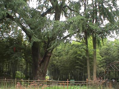 马鞍山花山天气预报_花山天气预报一周7天10天15天马鞍山花山天气预报,花山天气预报一周7天10天15天