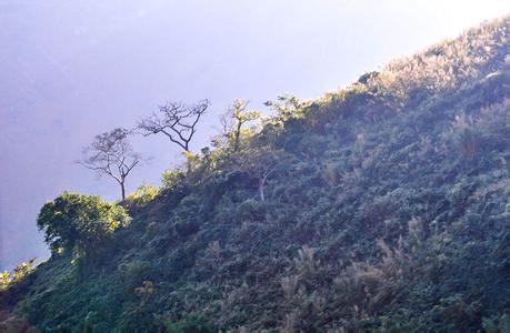 临沧耿马天气预报_耿马天气预报一周7天10天15天临沧耿马天气预报,耿马天气预报一周7天10天15天