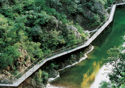 台中八仙山天气