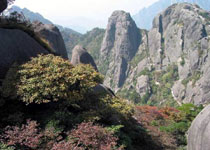 黄山桃花峰