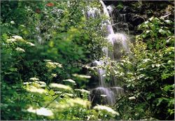 门头沟百花山天气