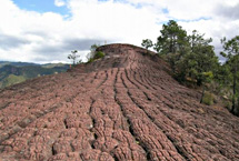 丽江老君山天气